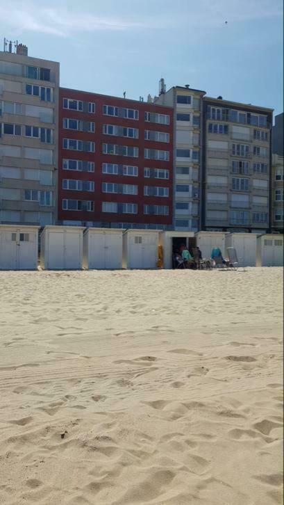 2 Slaapkamer Appartement Op De Zeedijk Van Oostende. Ostend Exterior photo
